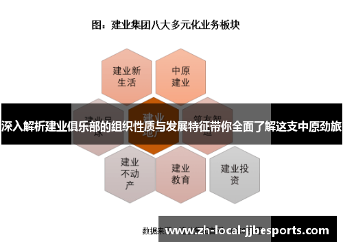 深入解析建业俱乐部的组织性质与发展特征带你全面了解这支中原劲旅