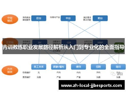青训教练职业发展路径解析从入门到专业化的全面指导